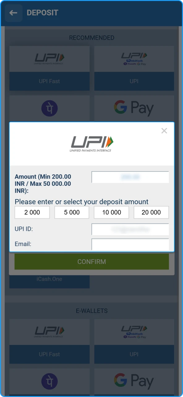 Providing the necessary transaction amount and payment provider information on 1xBet India.